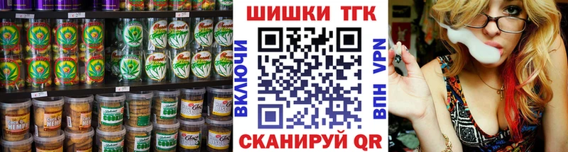 где купить наркоту  Злынка  darknet телеграм  Canna-Cookies конопля 